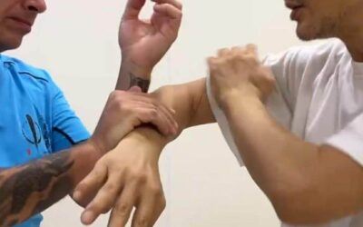 Stage VT Maître Li HengChang Belgique